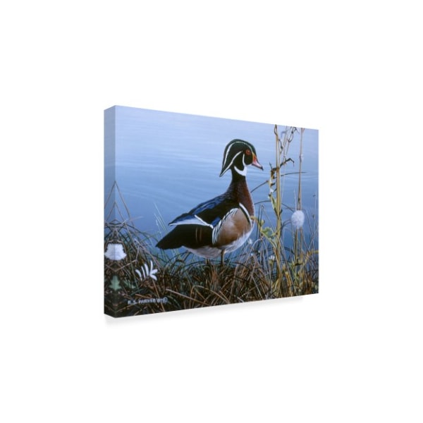 Ron Parker 'Duck At Waters Edge' Canvas Art,18x24